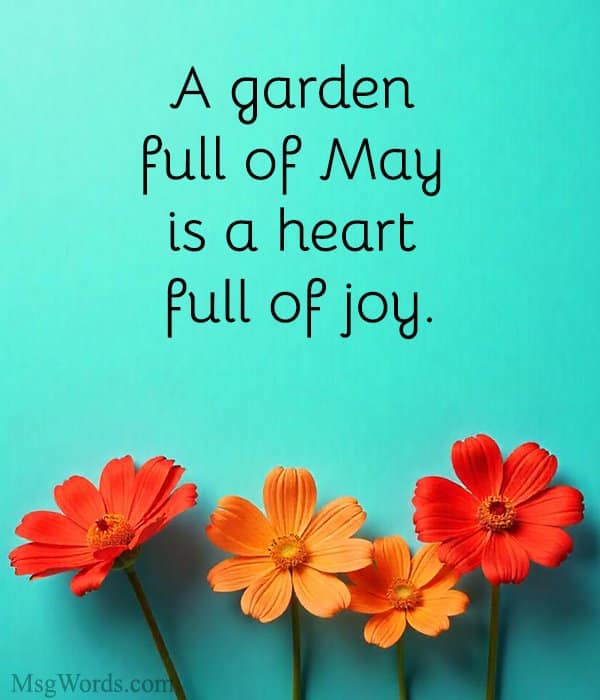 A garden full of May is a heart full of joy.