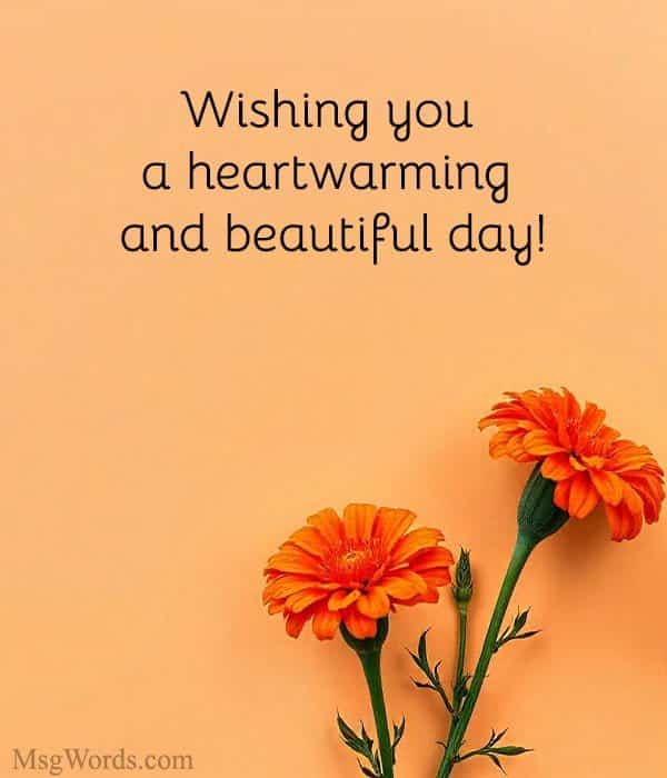Wishing you a heartwarming and beautiful day!