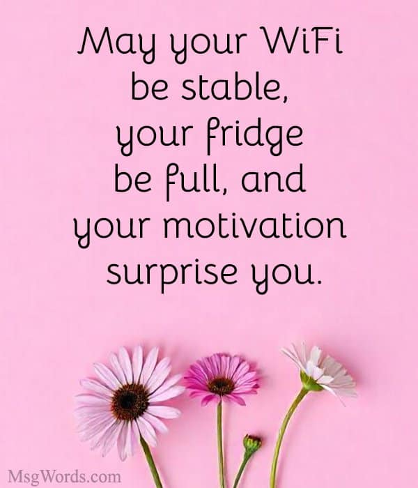 May your WiFi be stable, your fridge be full, and your motivation surprise you.