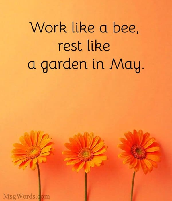 Work like a bee, rest like a garden in May.