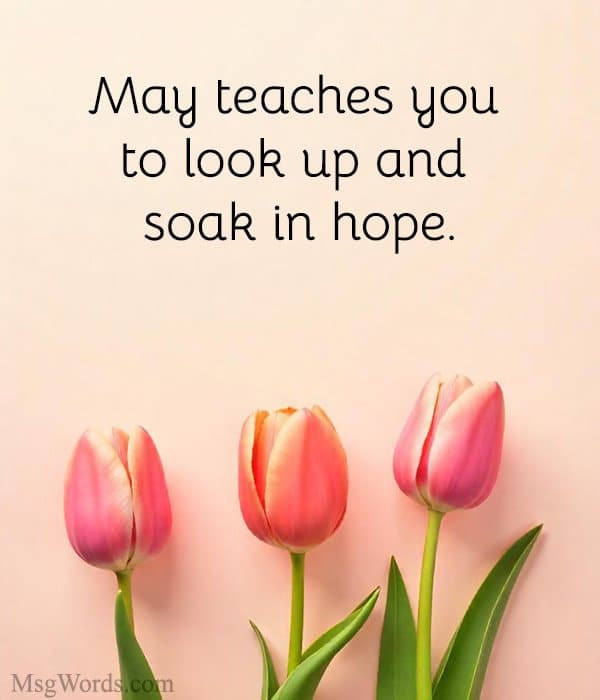 May teaches you to look up and soak in hope.