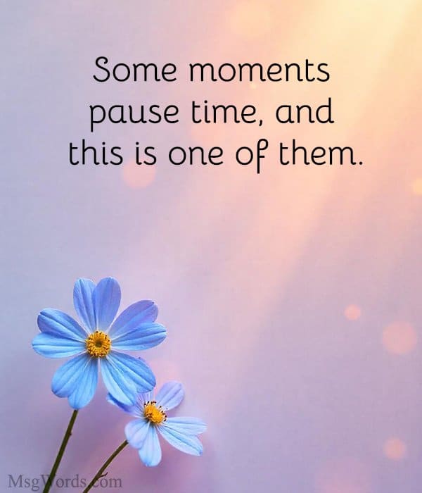 Some moments pause time, and this is one of them.