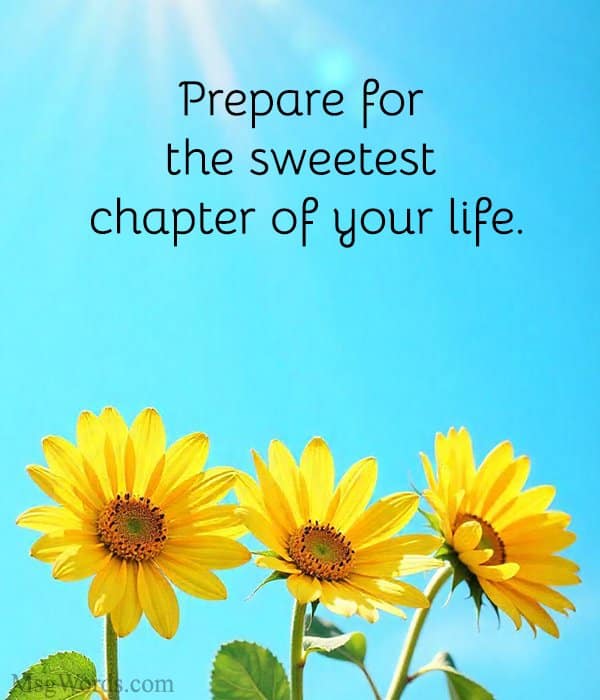 Prepare for the sweetest chapter of your life.