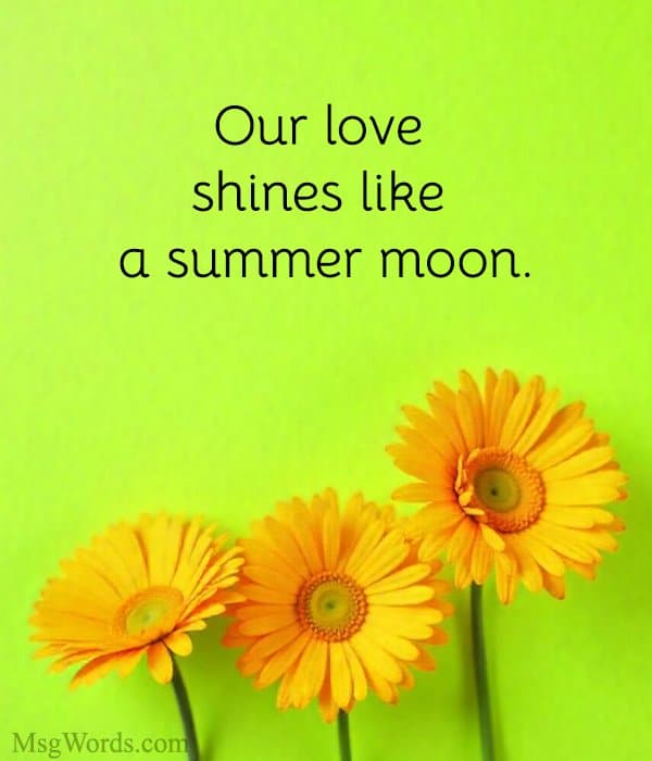 Our love shines like a summer moon.