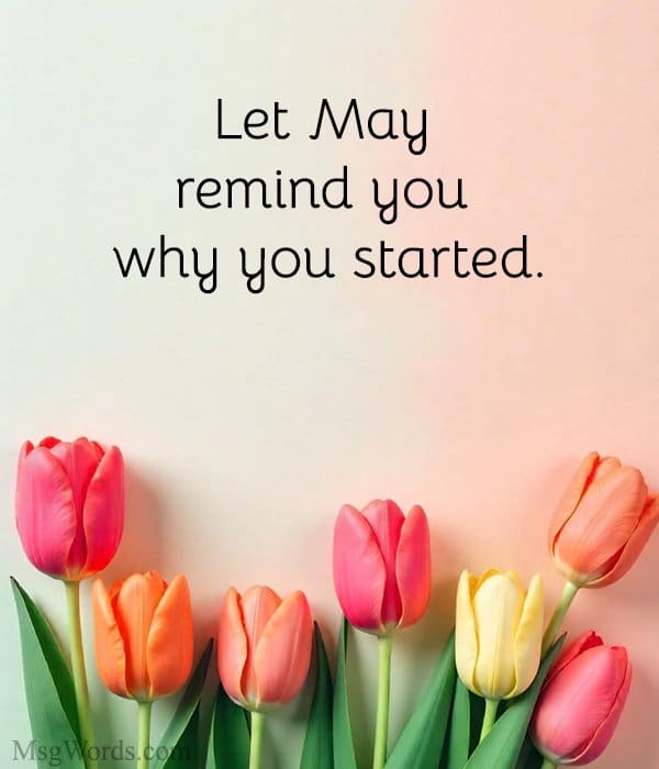 Let May remind you why you started.