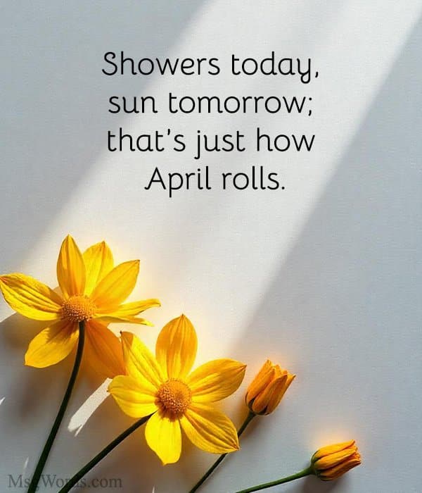 Showers today, sun tomorrow; that’s just how April rolls.