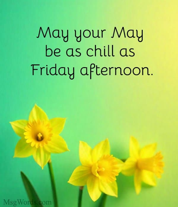 May your May be as chill as Friday afternoon. 😎🌷