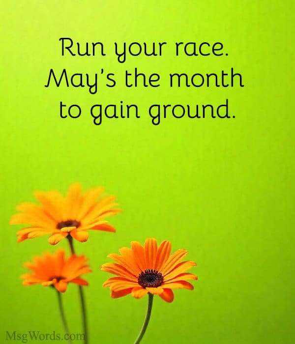 Run your race. May’s the month to gain ground.