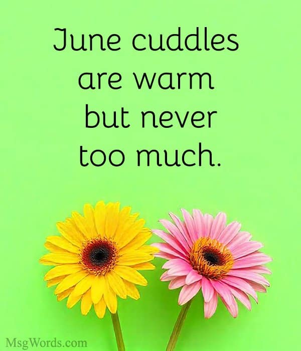 June cuddles are warm but never too much.