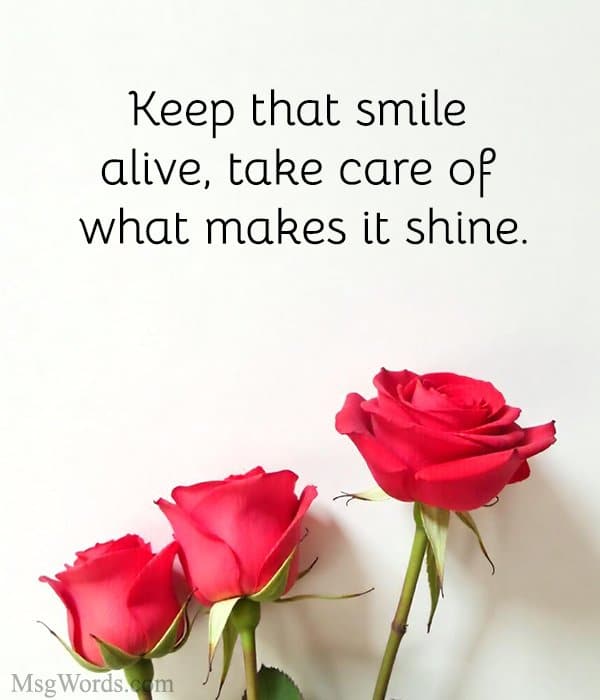 Keep that smile alive, take care of what makes it shine.