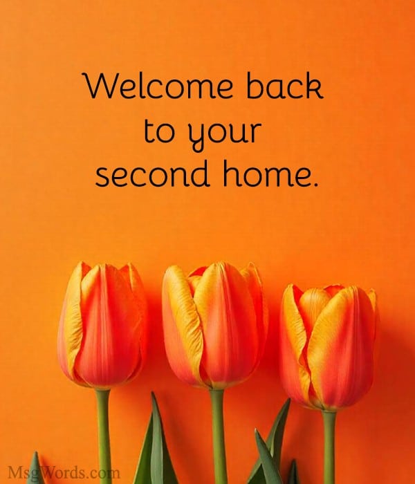Welcome back to your second home.