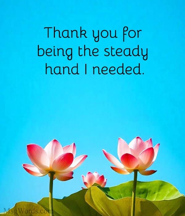Thank you for being the steady hand I needed.