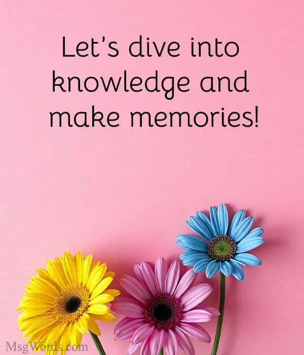 Let’s dive into knowledge and make memories!