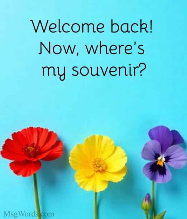 Welcome back! Now, where’s my souvenir?