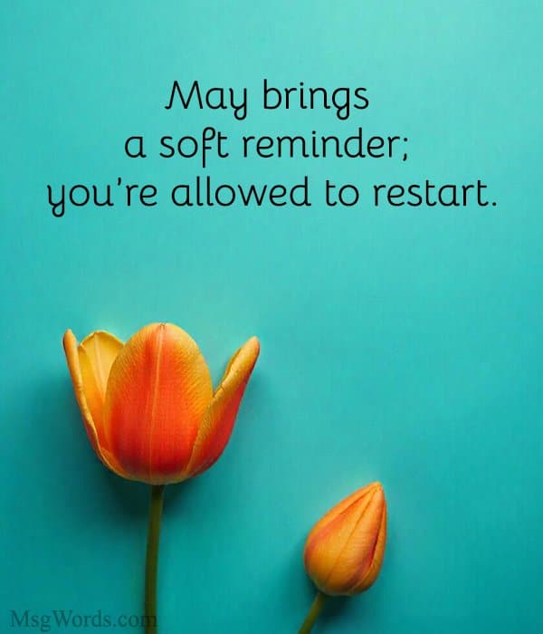 May brings a soft reminder; you’re allowed to restart.