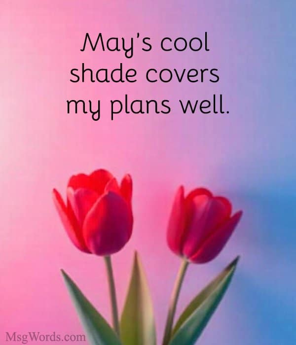 May's cool shade covers my plans well.