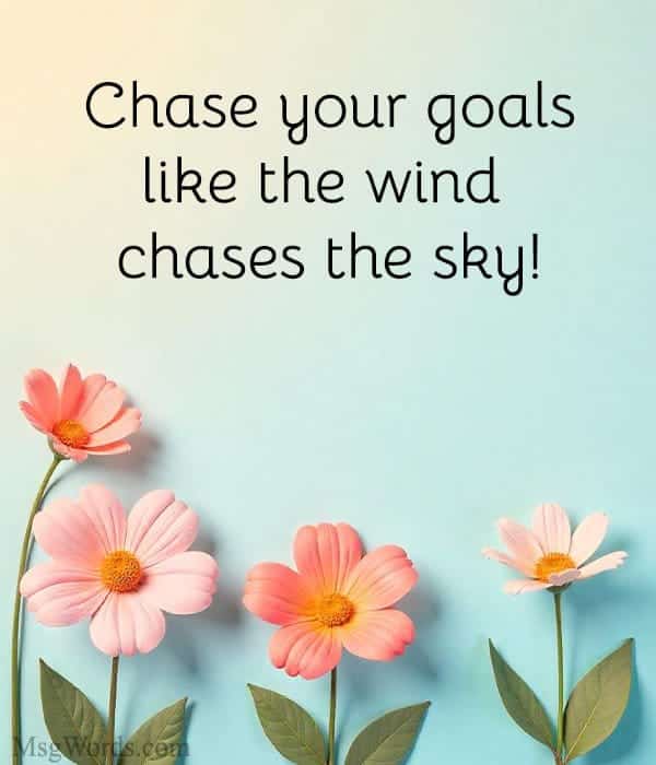 Chase your goals like the wind chases the sky!