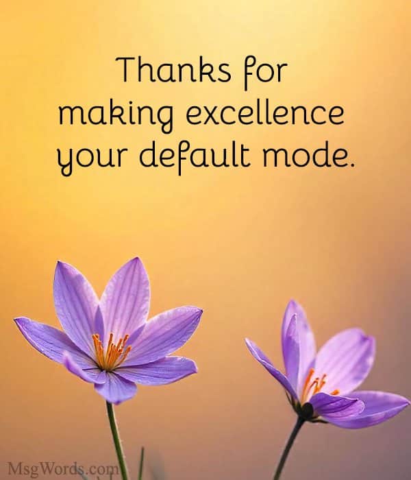 Thanks for making excellence your default mode.
