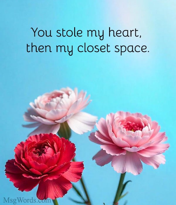 You stole my heart, then my closet space.