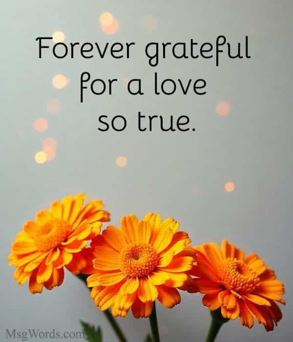 Forever grateful for a love so true.