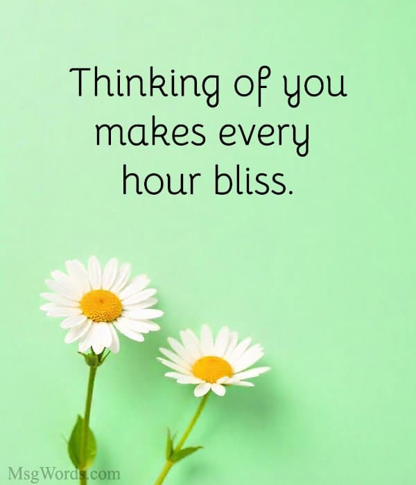 Thinking of you makes every hour bliss.