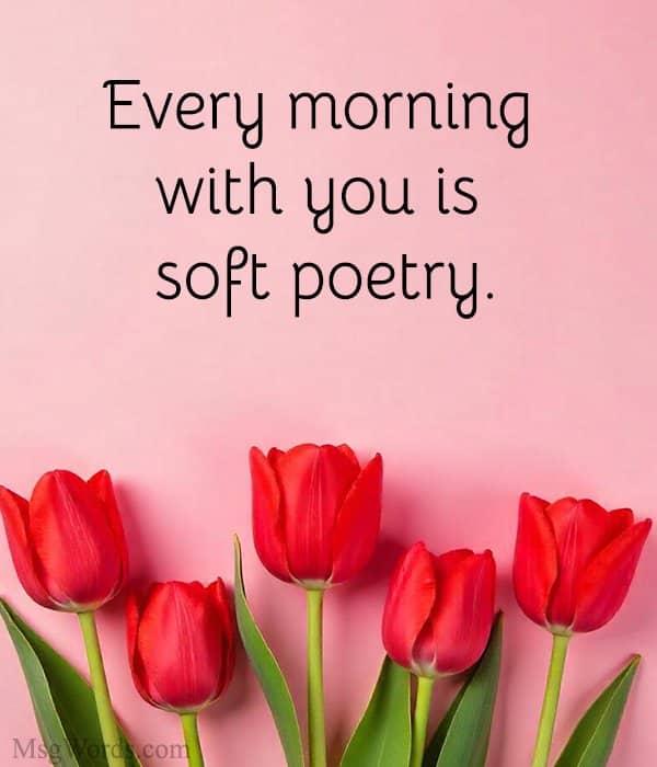 Every morning with you is soft poetry.