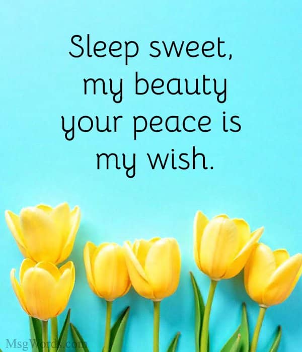 Sleep sweet, my beauty; your peace is my wish.