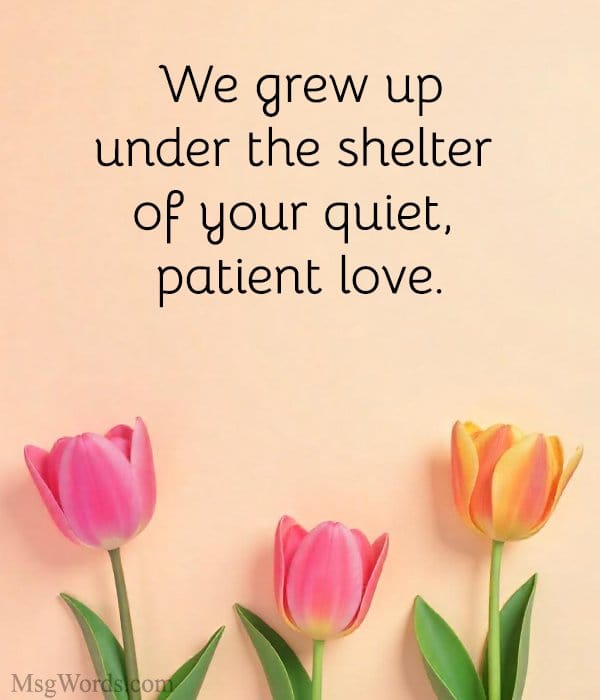We grew up under the shelter of your quiet, patient love.