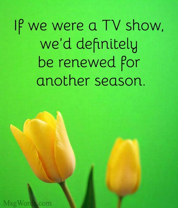 If we were a TV show, we’d definitely be renewed for another season.