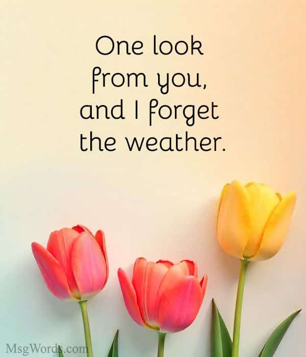 One look from you, and I forget the weather.