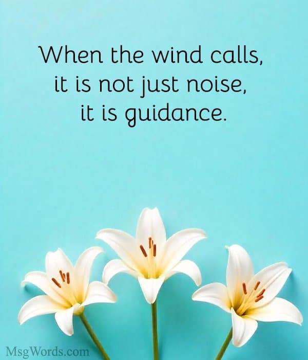 When the wind calls, it is not just noise, it is guidance.