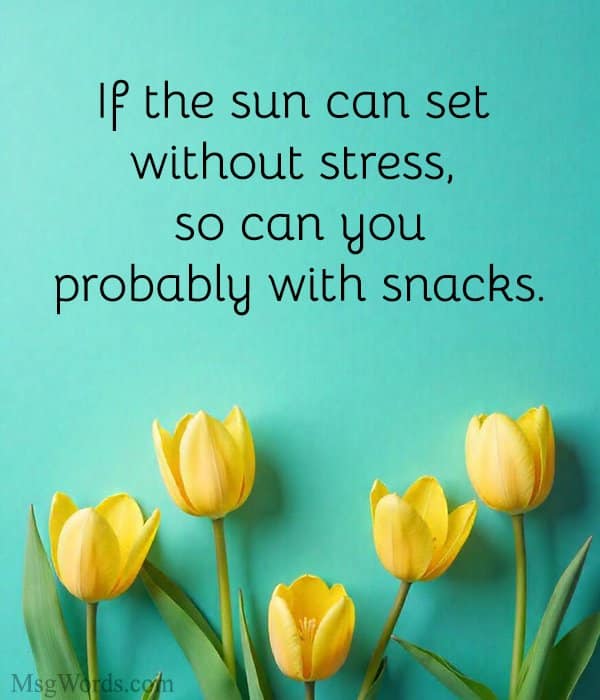 If the sun can set without stress, so can you; probably with snacks.
