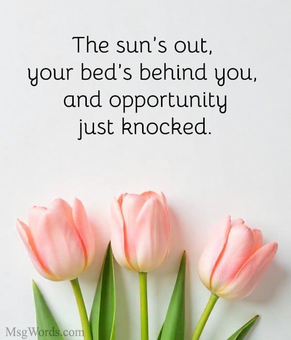 The sun’s out, your bed’s behind you, and opportunity just knocked.