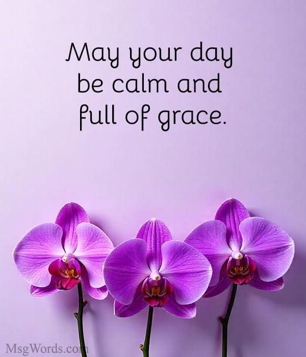 May your day be calm and full of grace.