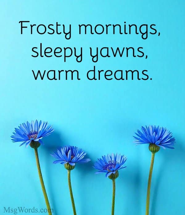 Frosty mornings, sleepy yawns, warm dreams.