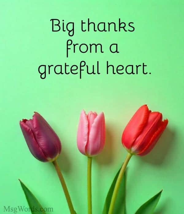 Big thanks from a grateful heart.
