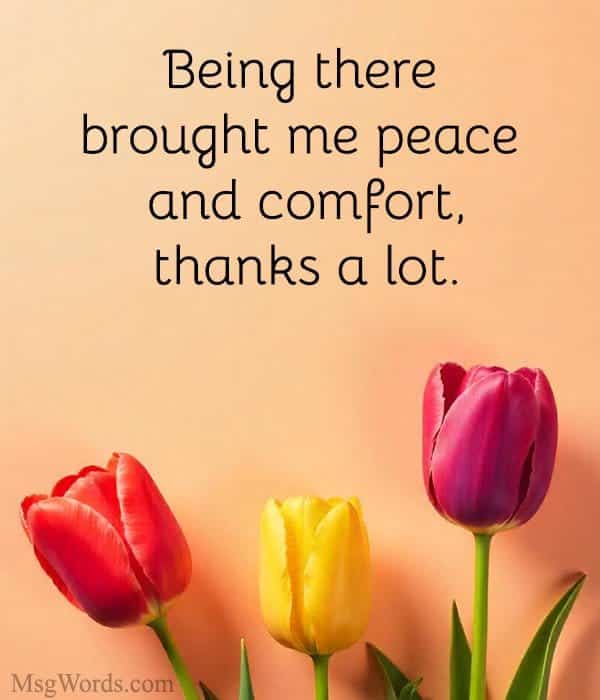 Being there brought me peace and comfort, thanks a lot.