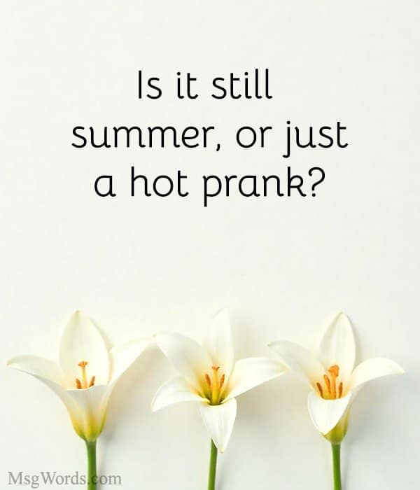 Is it still summer, or just a hot prank?