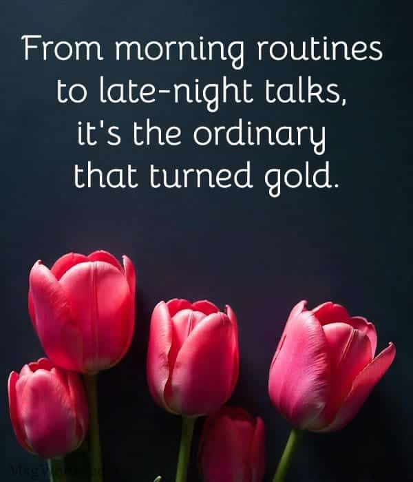 From morning routines to late-night talks, it's the ordinary that turned gold.
