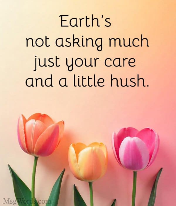 Earth’s not asking much; just your care and a little hush.