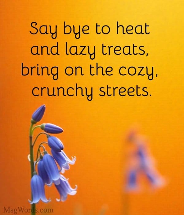 Say bye to heat and lazy treats, bring on the cozy, crunchy streets.