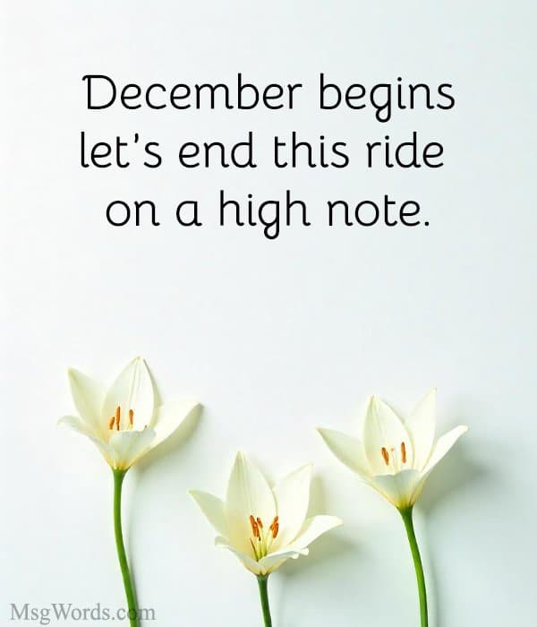 December begins; let’s end this ride on a high note.