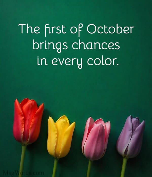 The first of October brings chances in every color.