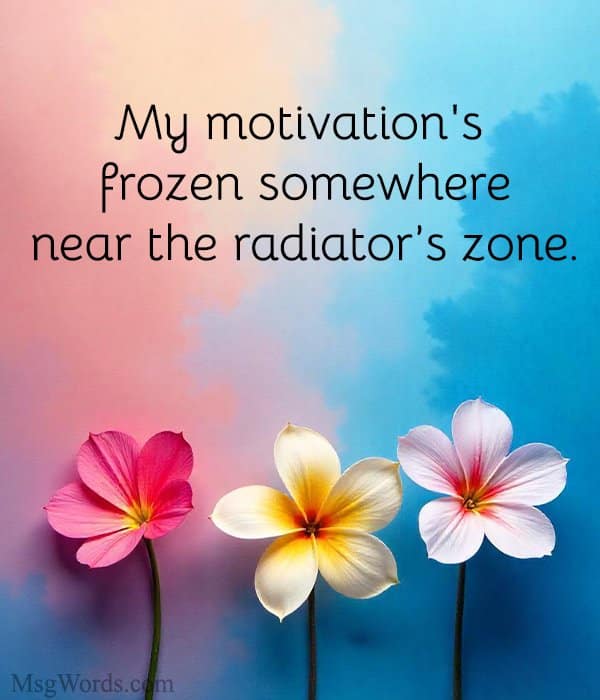 My motivation's frozen somewhere near the radiator’s zone.