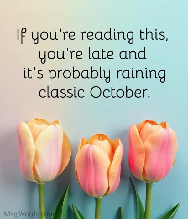 If you're reading this, you're late and it's probably raining; classic October.