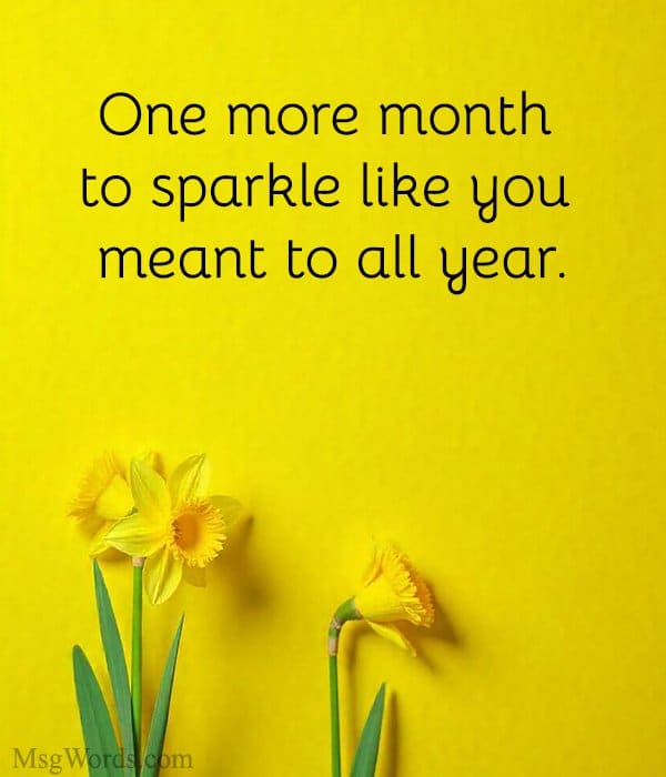 One more month to sparkle like you meant to all year.
