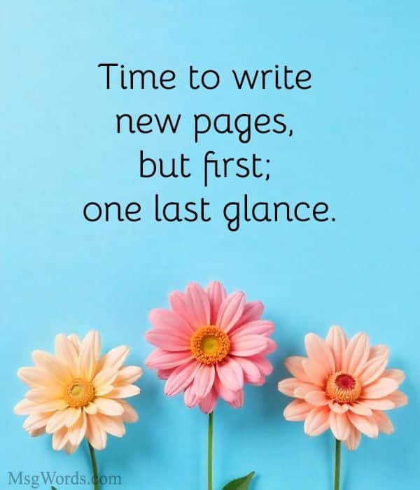 Time to write new pages, but first; one last glance.