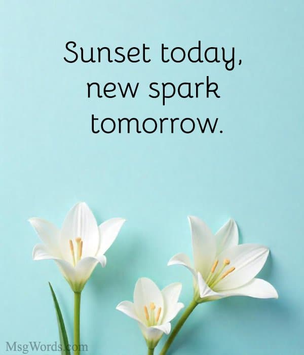 Sunset today, new spark tomorrow.