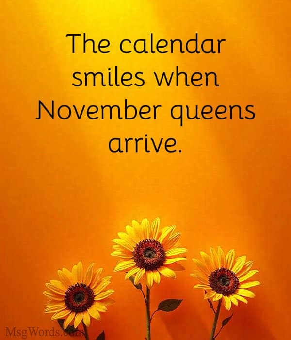 The calendar smiles when November queens arrive.