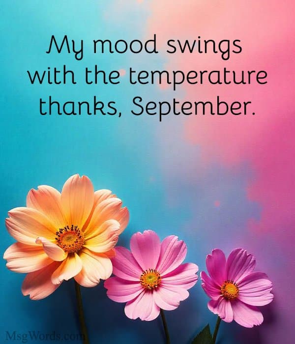 My mood swings with the temperature; thanks, September.